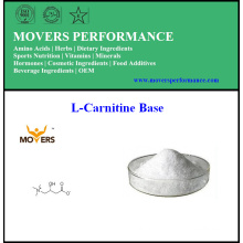 Hot Sell Weight Loss L-Carnitine Base